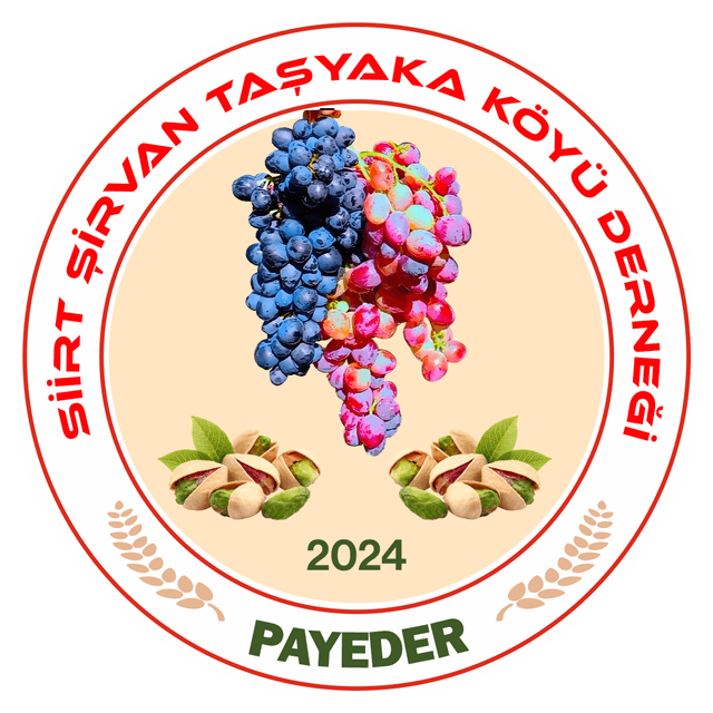 Siirt Derneği — CodynLab referansı